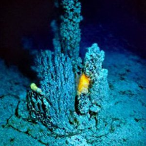 Hydrothermal Vent 的头像