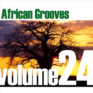 African Grooves Vol.24