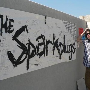 The Sparkplugs 的头像