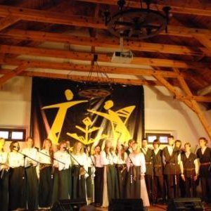 Lygaudė 的头像