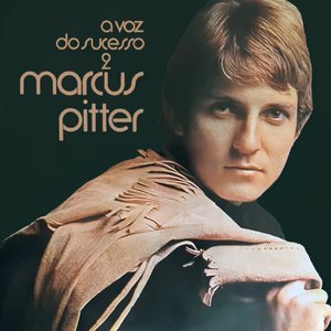 A Voz do Sucesso, Vol. 2