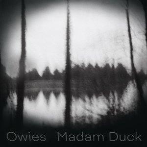 Madam Duck