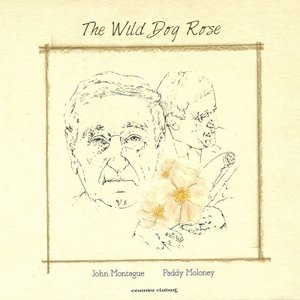 The Wild Dog Rose