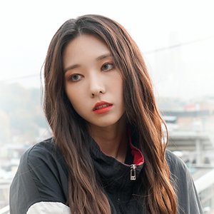 와인 的头像