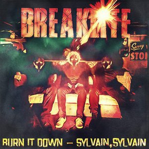 Burn It Down / Sylvain Sylvain