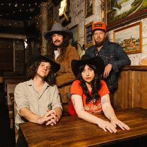 Caitlin Harnett & The Pony Boys 的头像