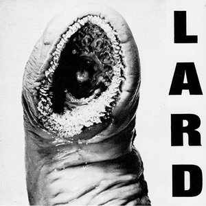 Image for 'Power of Lard'