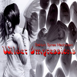 Wilder Impression (Finest Ambient Grooves)