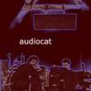 Audiocat için avatar