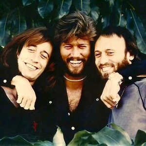 Bee Gees 的头像