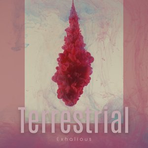 Terrestrial