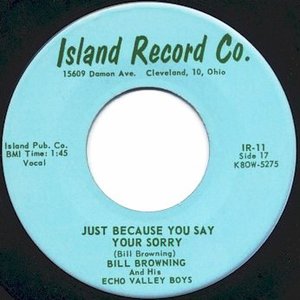 Bill Browning & his Echo Valley Boys 的头像