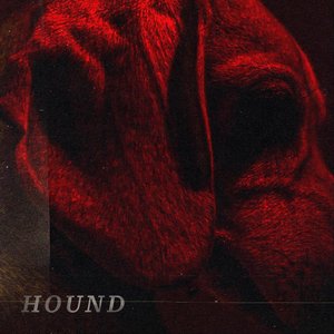 Hound