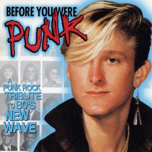 “Before You Were Punk”的封面