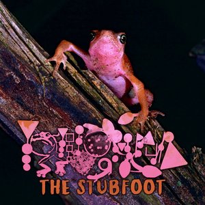 The Stubfoot