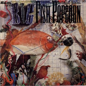 Big Fish Popcorn
