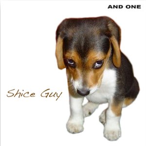 Shice Guy