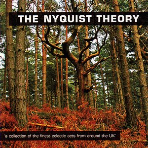 The Nyquist Theory