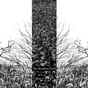 The Restless Field