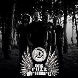 The Fuzz Drivers 的头像