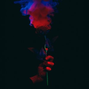Night Sweats (Edit) / SPF