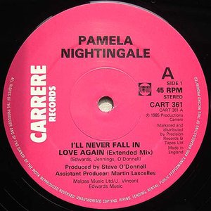 I'll Never Fall In Love Again