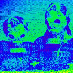 Avatar for Distorted Perception