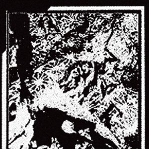Meteor Bones' Carnival