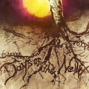 Days of the New - B Sides - Zortam Music