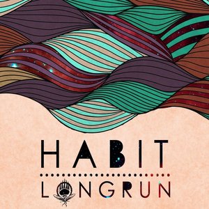 Long Run