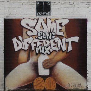 Same Song Different Mix