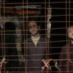 Trio Balkano photo provided by Last.fm