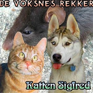De Voksnes Rekker 的头像