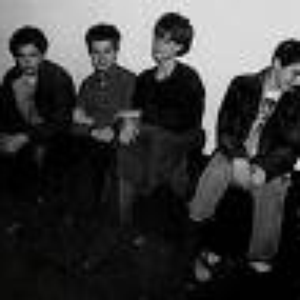 The Young and the Useless photo provided by Last.fm