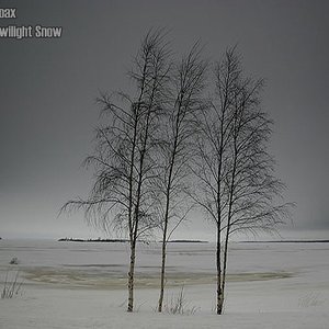 Twilight Snow