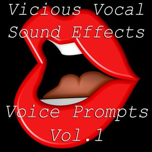 Vicious Vocal Sound Effects 10 - Voice Prompts Vol. 1