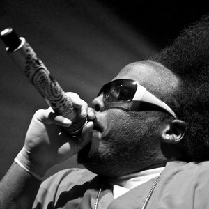 Krizz Kaliko için avatar