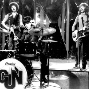 The Gun photo provided by Last.fm