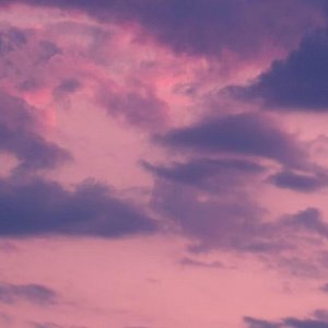 high fashion x track 10