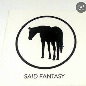 Avatar for Said Fantasy