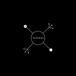 Neurons