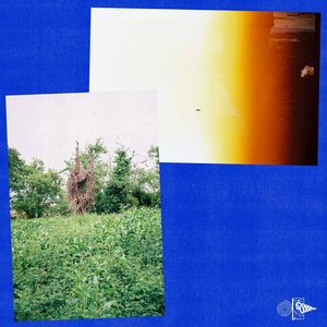Mole Hunt - Single