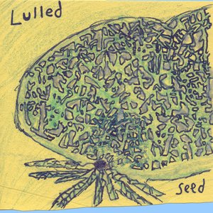 Seed