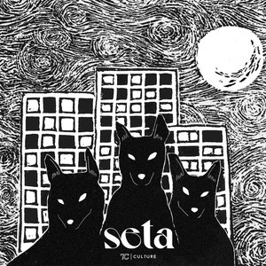 Seta