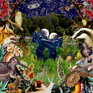 Long Grass - Single