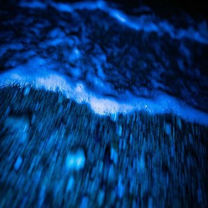 Flood