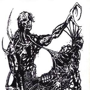 Tearing of the Perineum