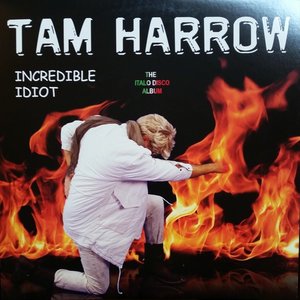 Incredible Idiot
