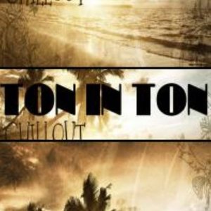 ton in ton 的头像