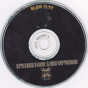 Image for 'BLOW FLYY aka ANTHONY GRANT'